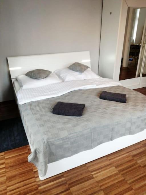 2 Bedrooms Close Vysehrad - Congress Centrum Прага